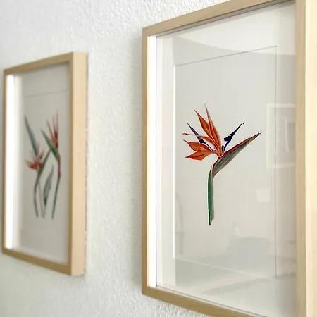 La Esterlicia Apartamento *