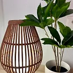 Апартаменты La Esterlicia Лос-Абригос